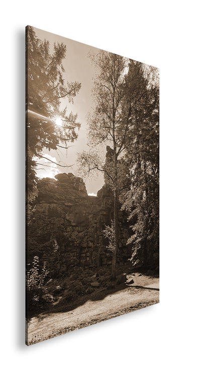 Hauptbild Sepia Standart