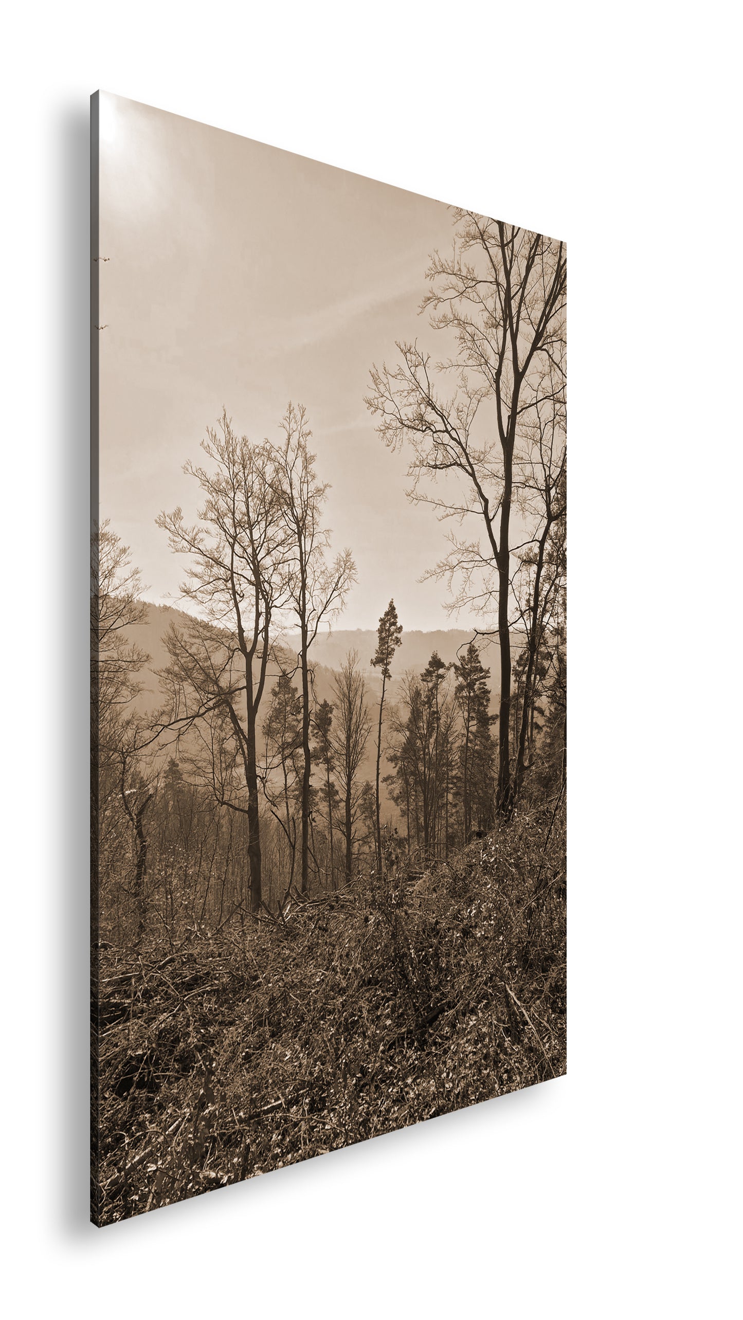 Hauptbild Sepia Standart