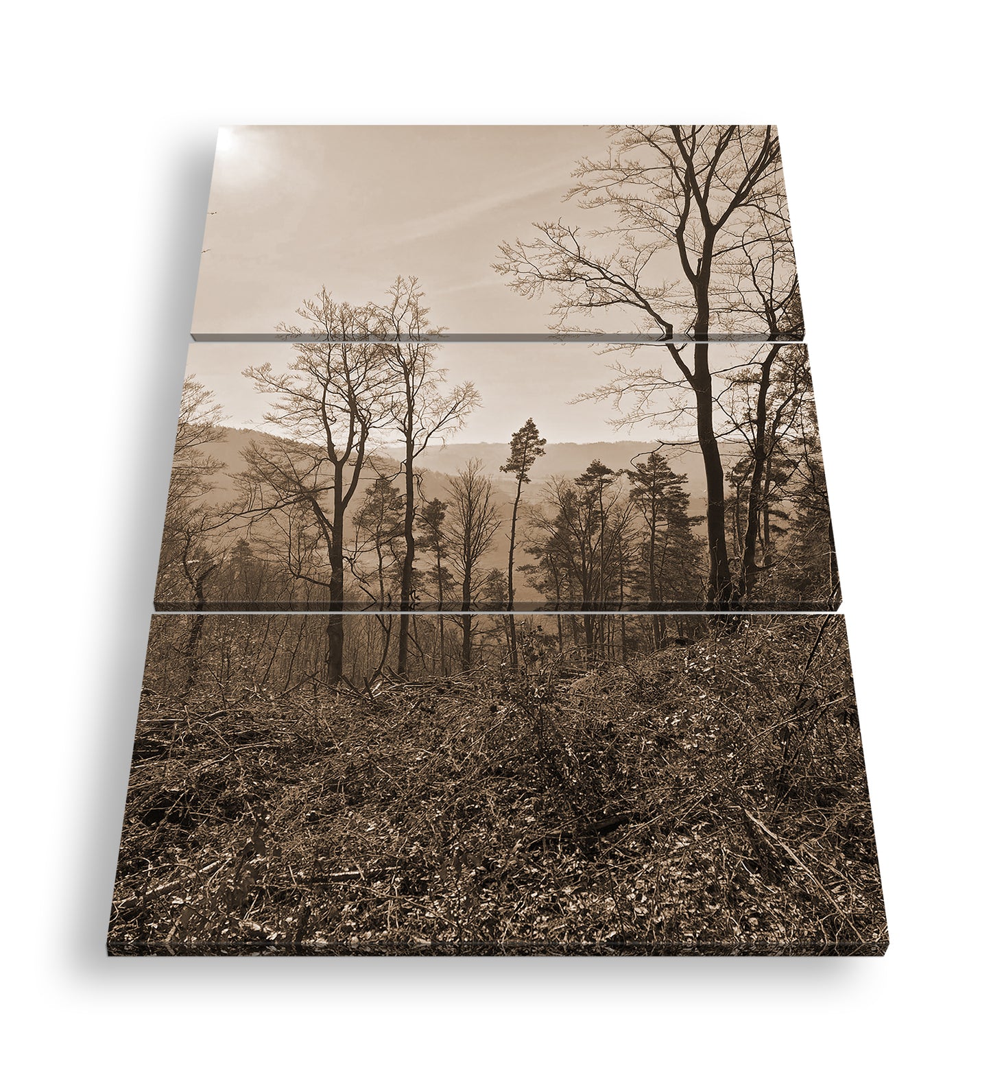 Hauptbild Sepia 3 Teilig