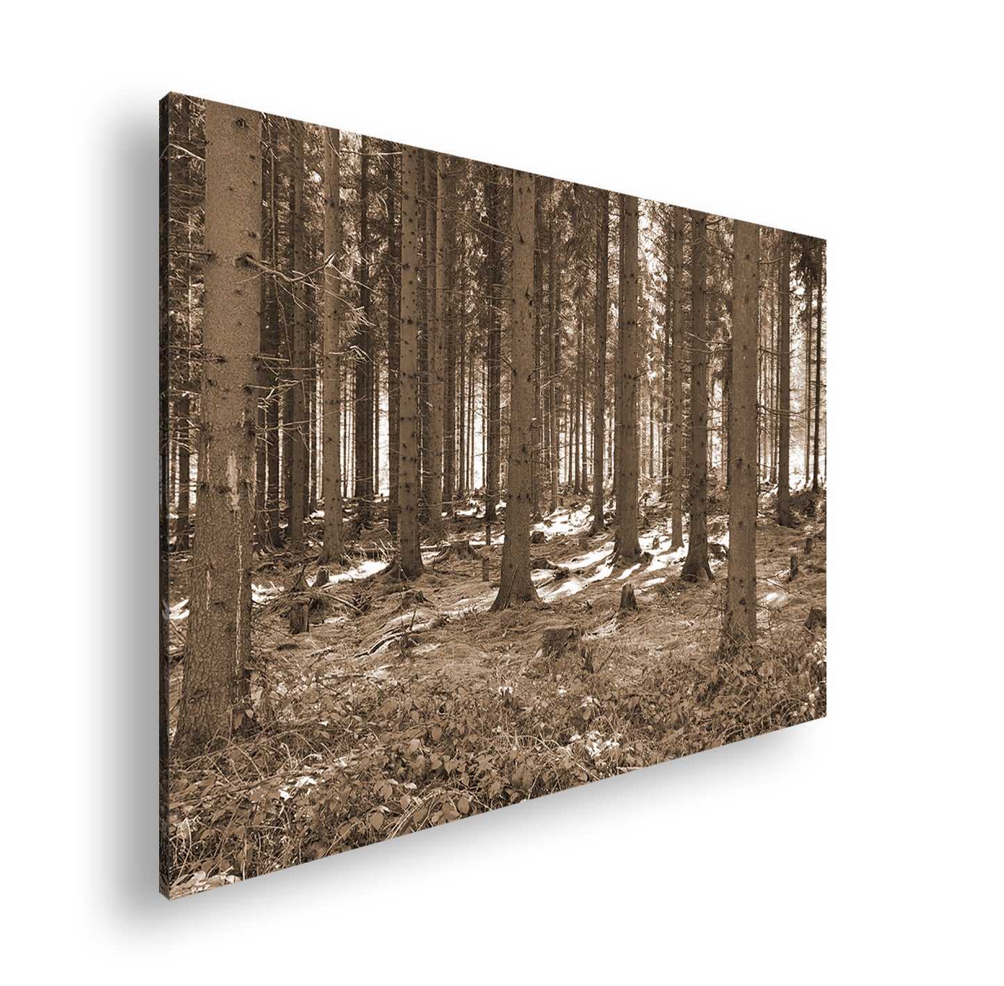 Hauptbild Sepia Standart