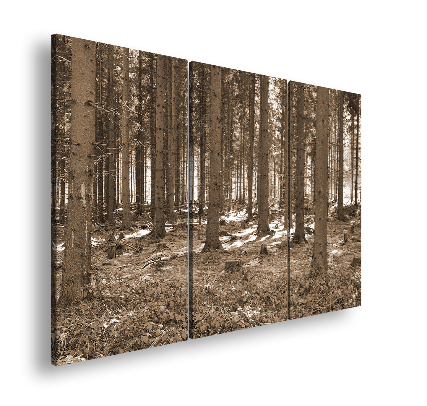 Hauptbild Sepia 3 Teilig