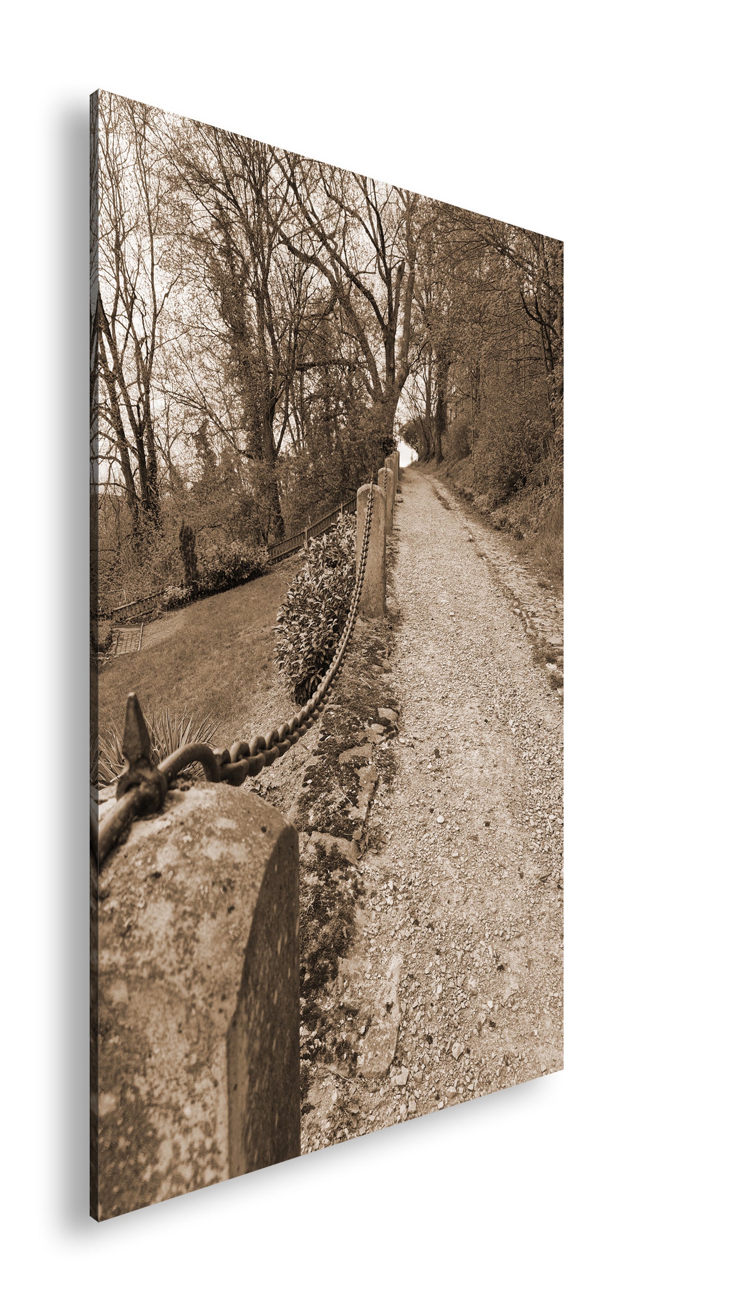 Hauptbild Sepia Standart