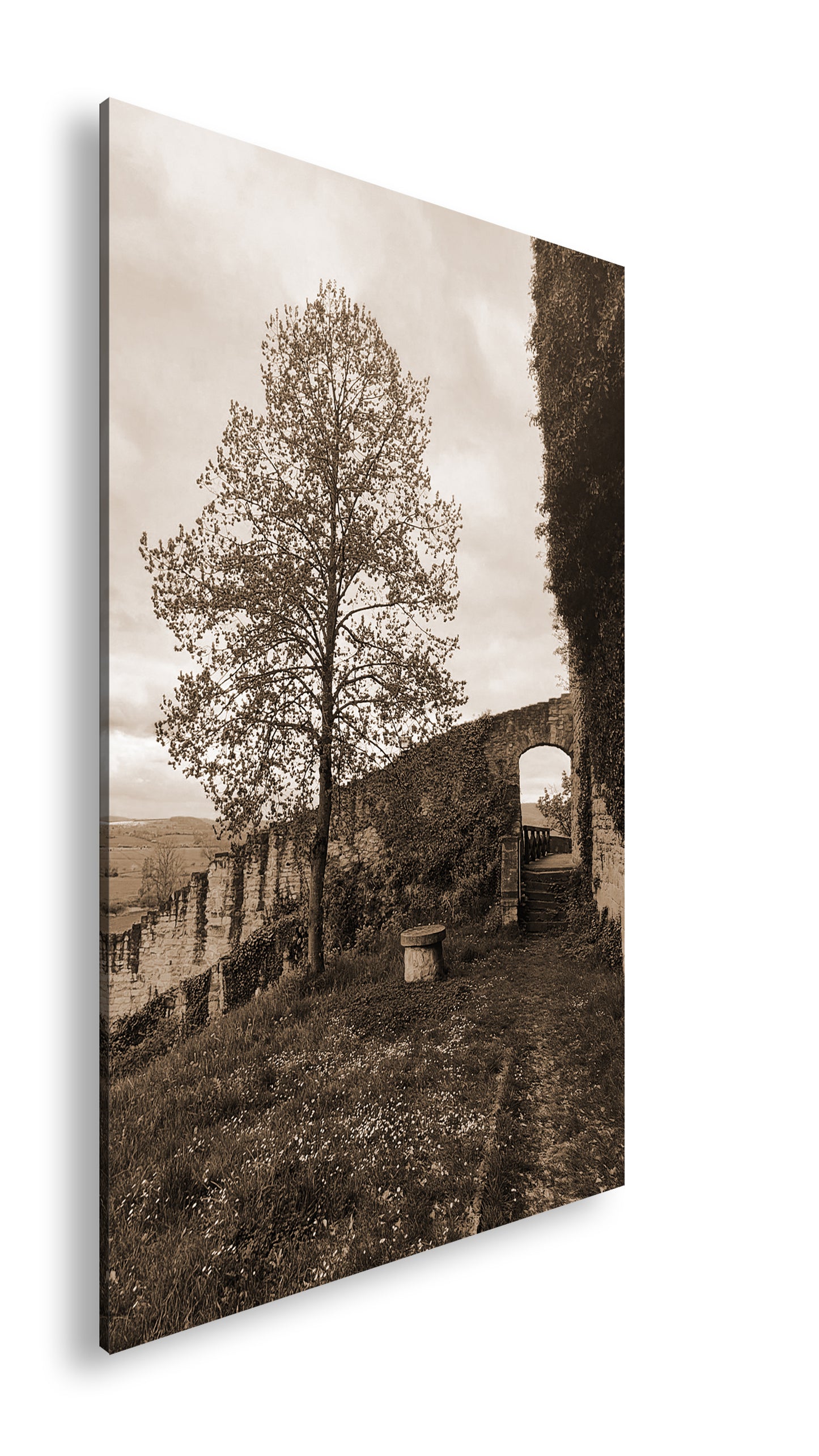 Hauptbild Sepia Standart