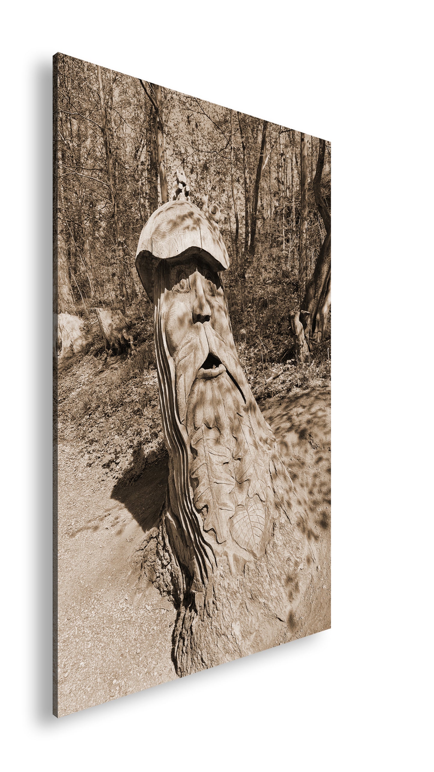 Hauptbild Sepia Standart