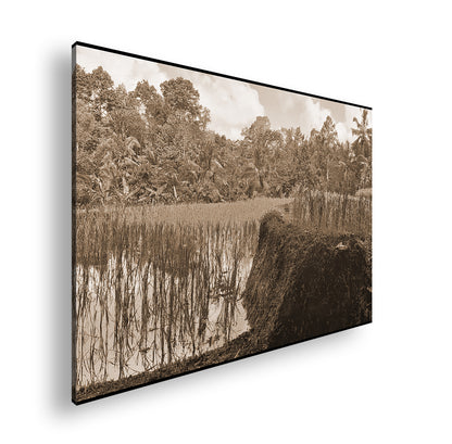 Hauptbild Sepia Standart