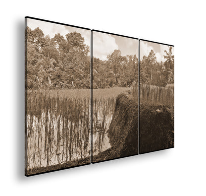 Hauptbild Sepia 3 Teilig