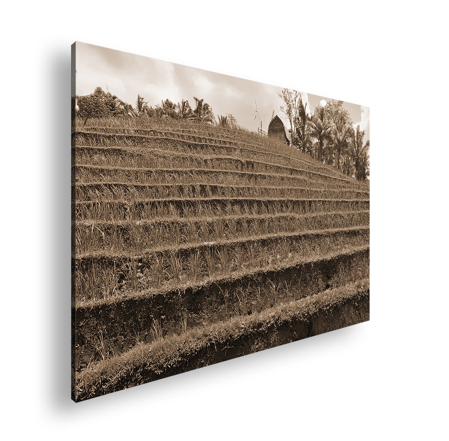 Hauptbild Sepia Standart