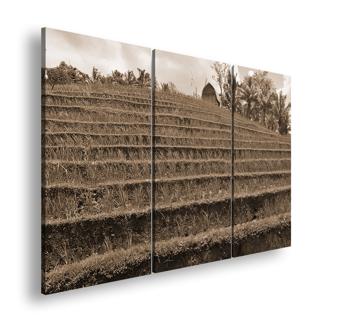 Hauptbild Sepia 3 Teilig