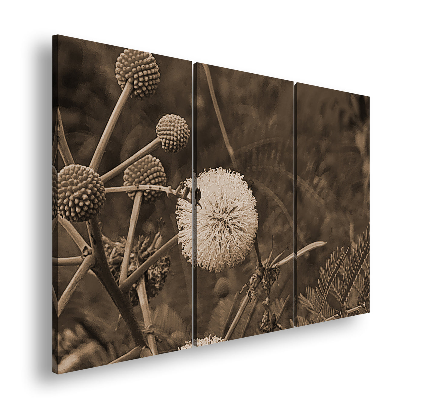 Hauptbild Sepia 3 Teilig