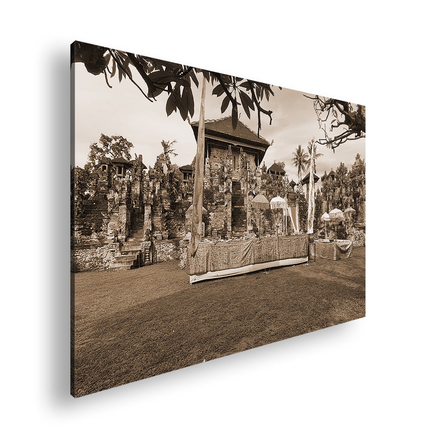 Hauptbild Sepia Standart