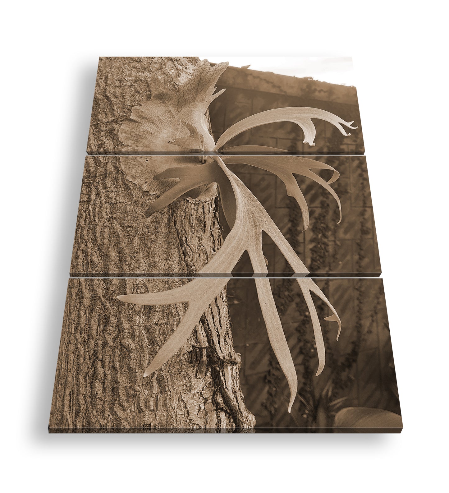 Hauptbild Sepia 3 Teilig