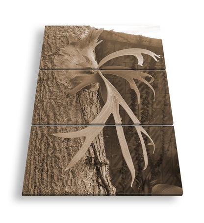 Hauptbild Sepia 3 Teilig