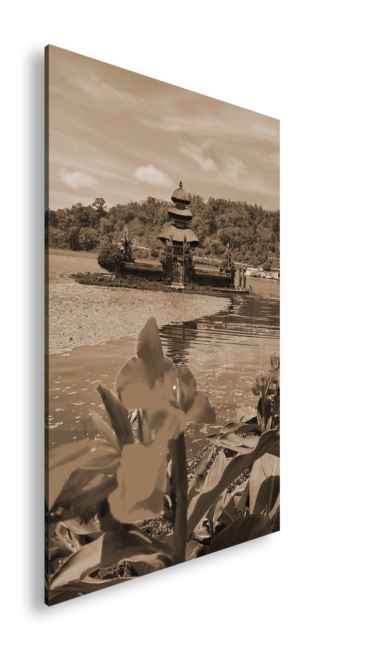 Hauptbild Sepia Standart