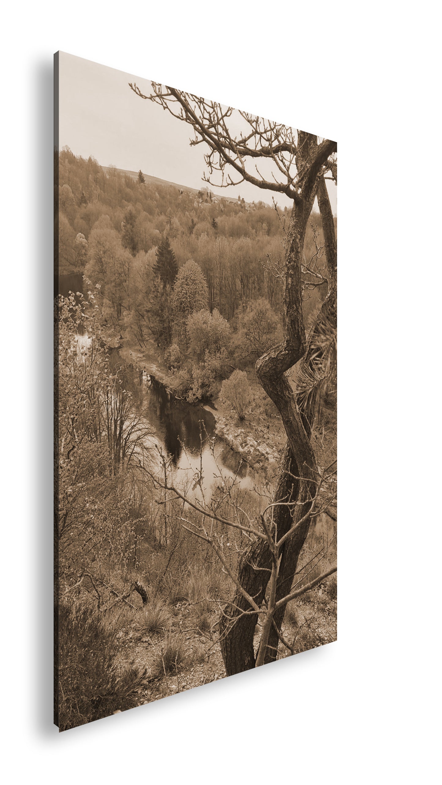 Hauptbild Sepia Standart