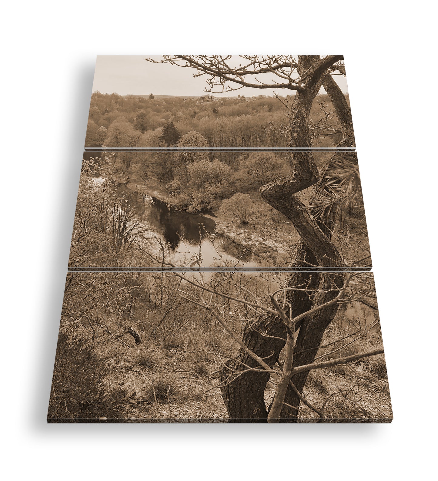 Hauptbild Sepia 3 Teilig