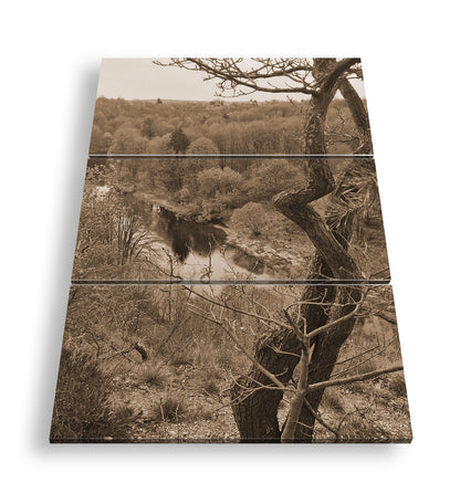 Hauptbild Sepia 3 Teilig