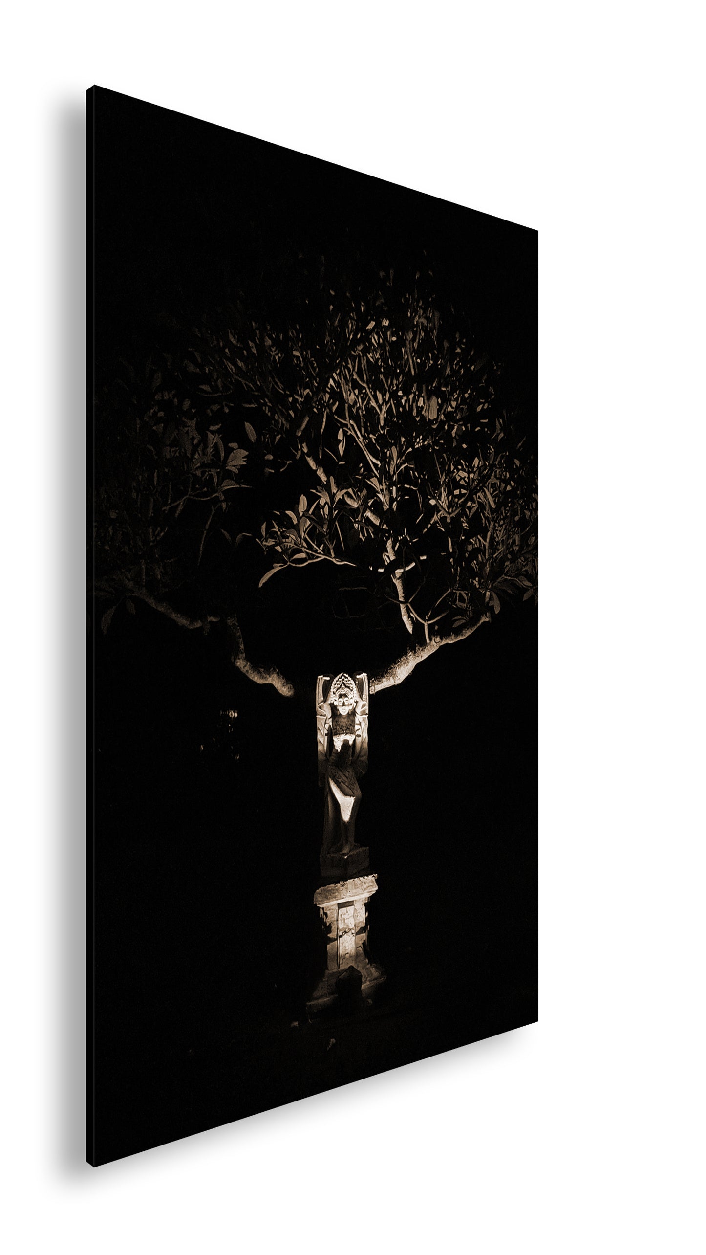Hauptbild Sepia Standart