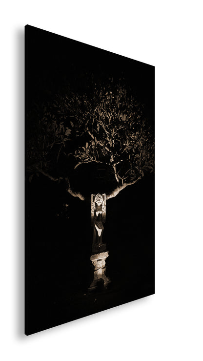 Hauptbild Sepia Standart
