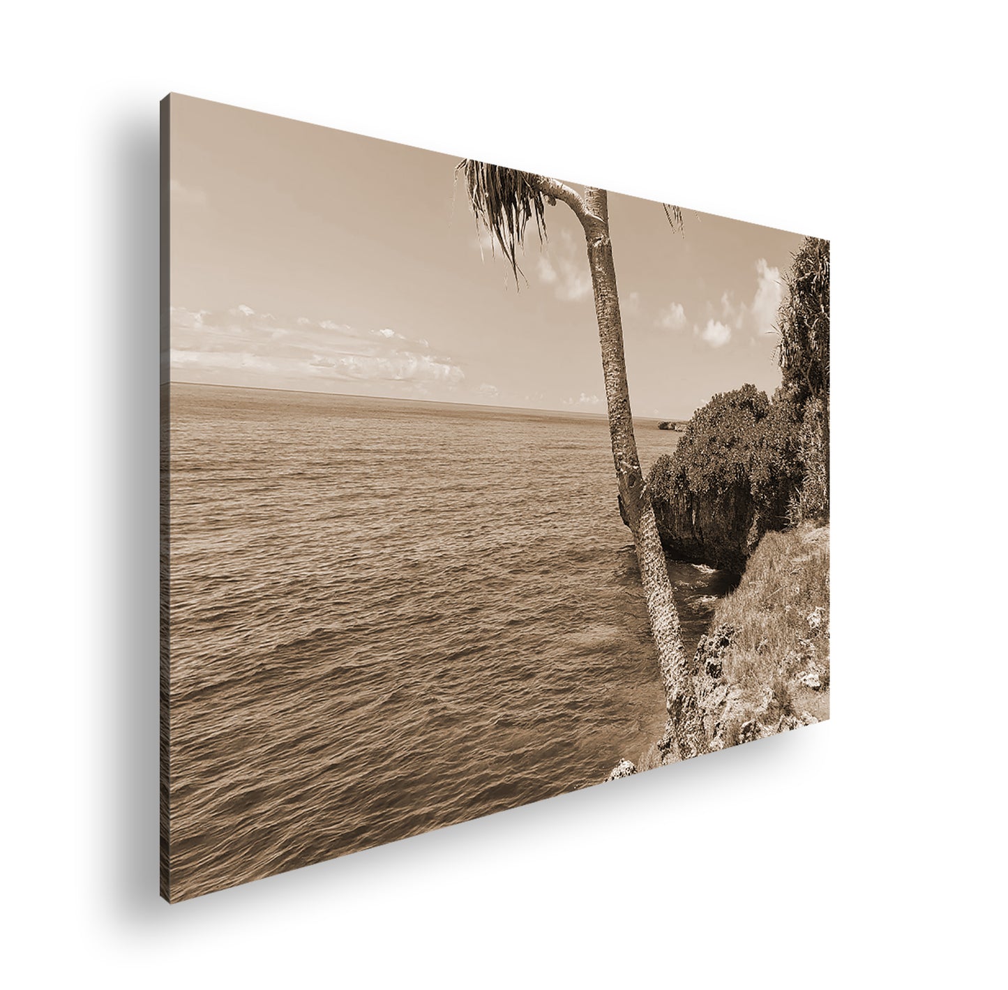 Hauptbild Sepia Standart