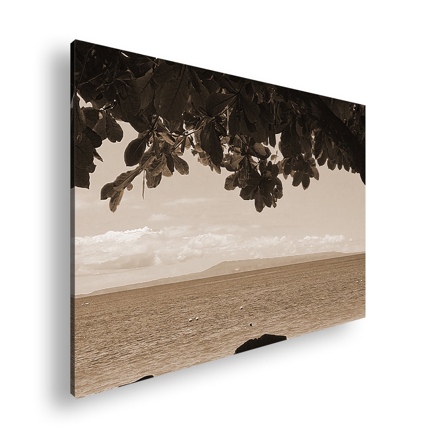 Hauptbild Sepia Standart