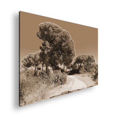 Hauptbild Sepia Standart