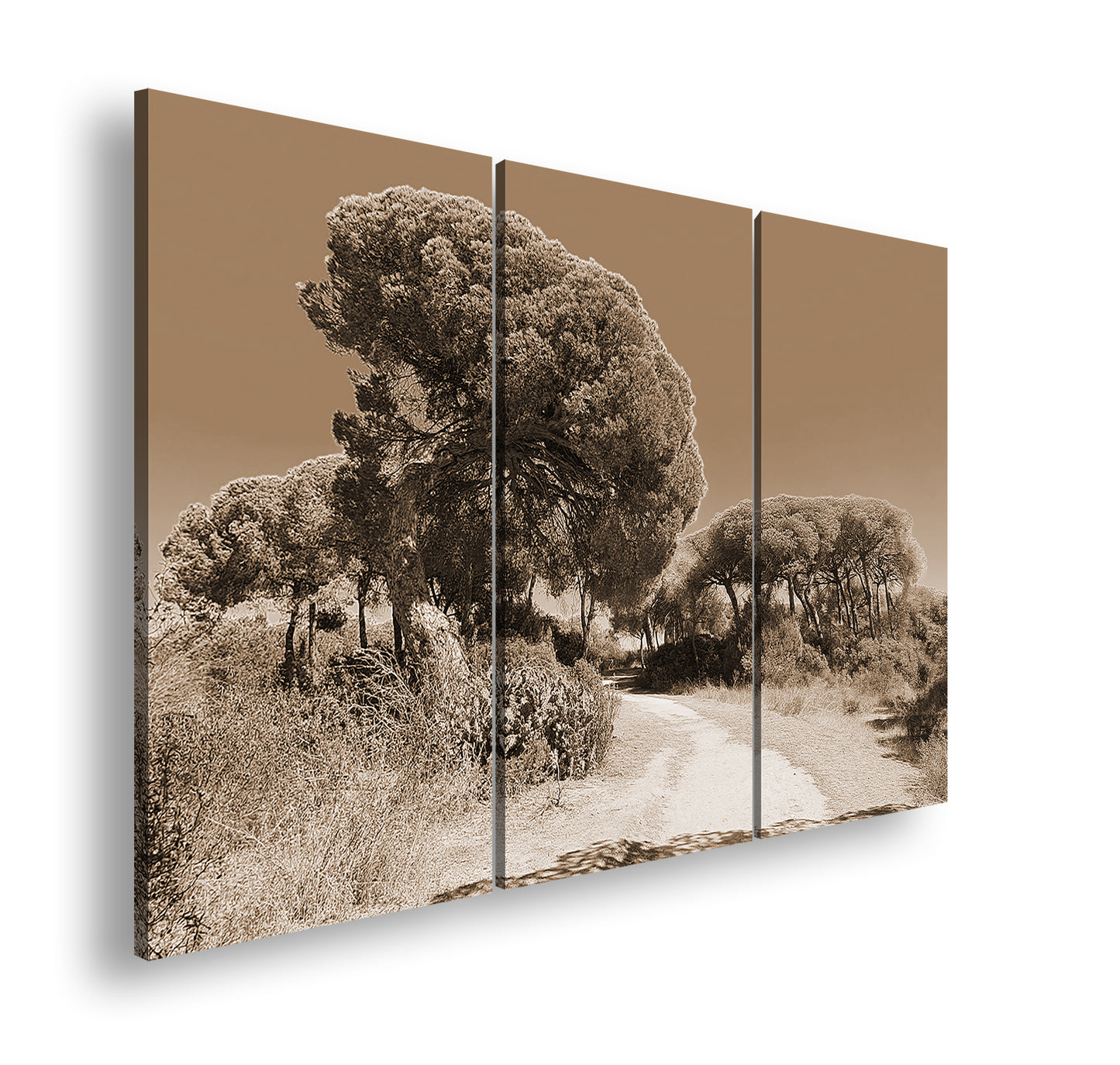 Hauptbild Sepia 3 Teilig