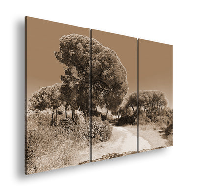 Hauptbild Sepia 3 Teilig