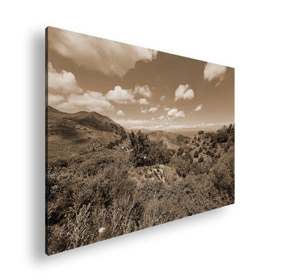 Hauptbild Sepia Standart