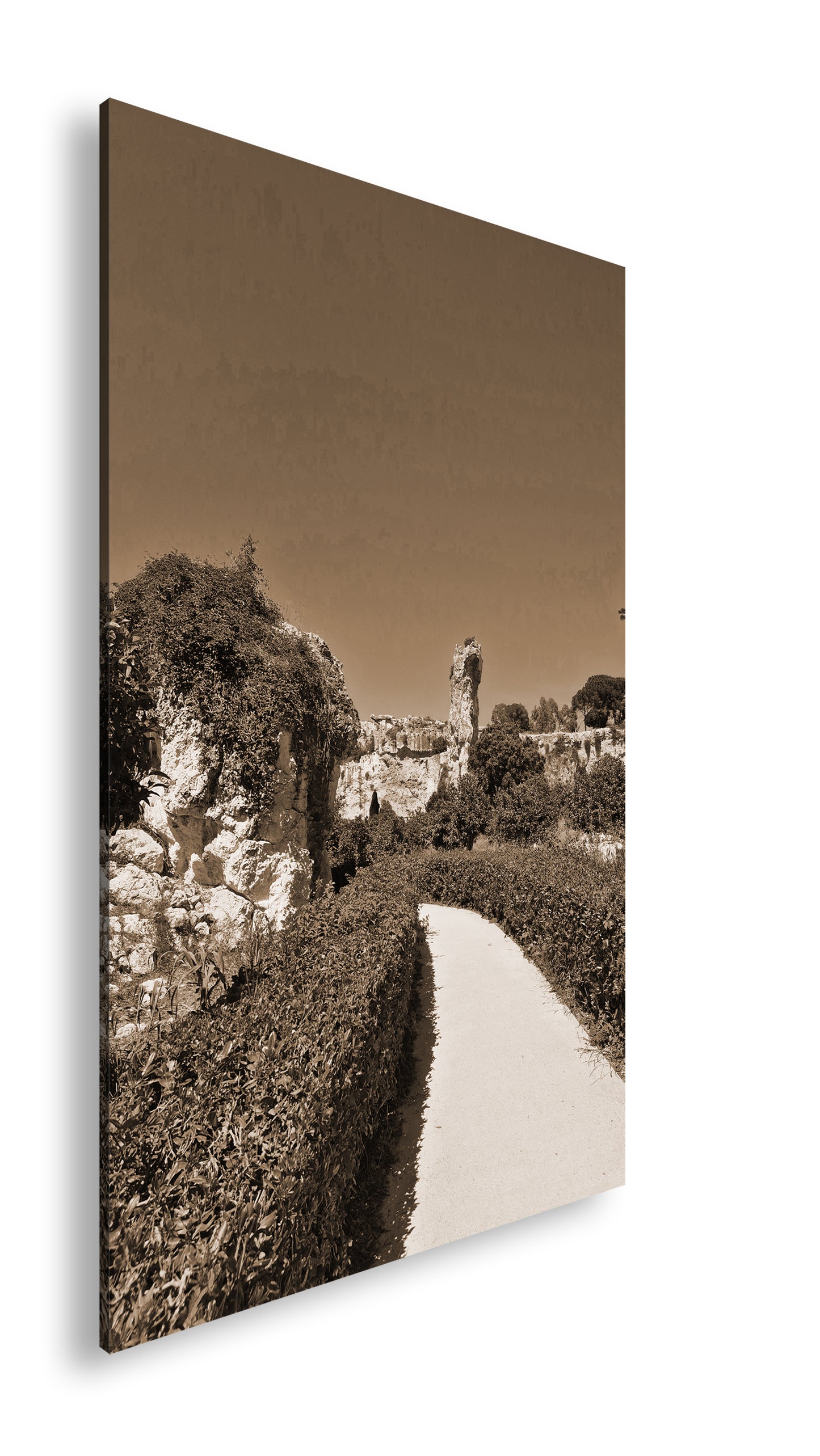 Hauptbild Sepia Standart