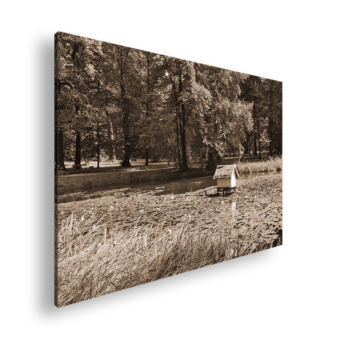 Hauptbild Sepia Standart