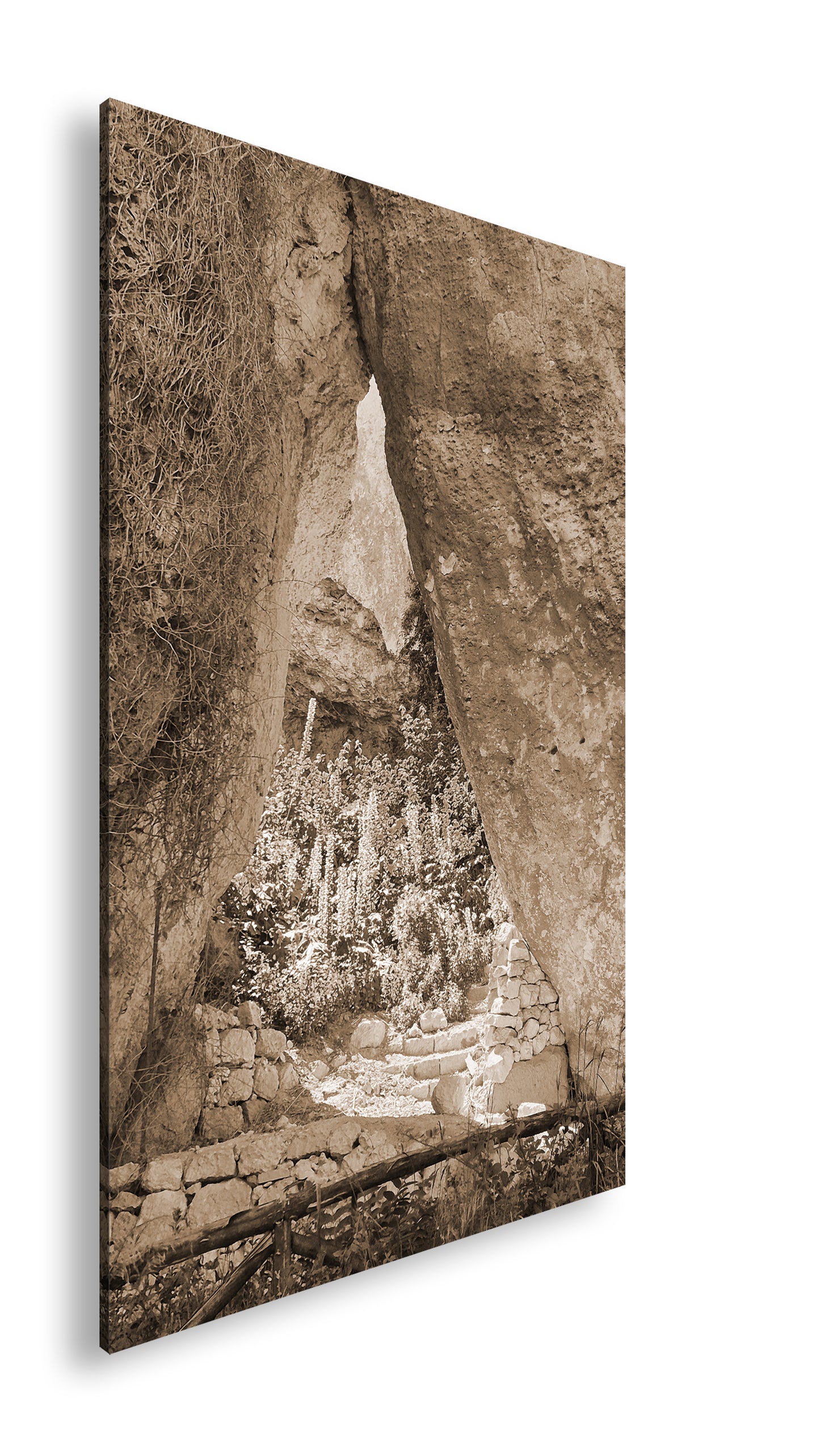 Hauptbild Sepia Standart