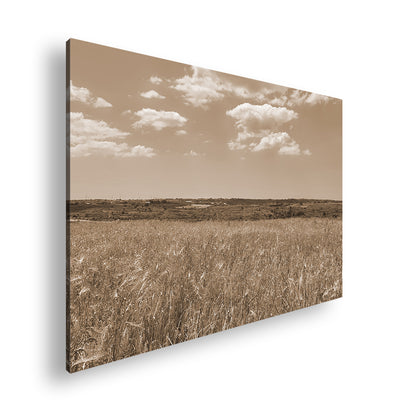 Hauptbild Sepia Standart