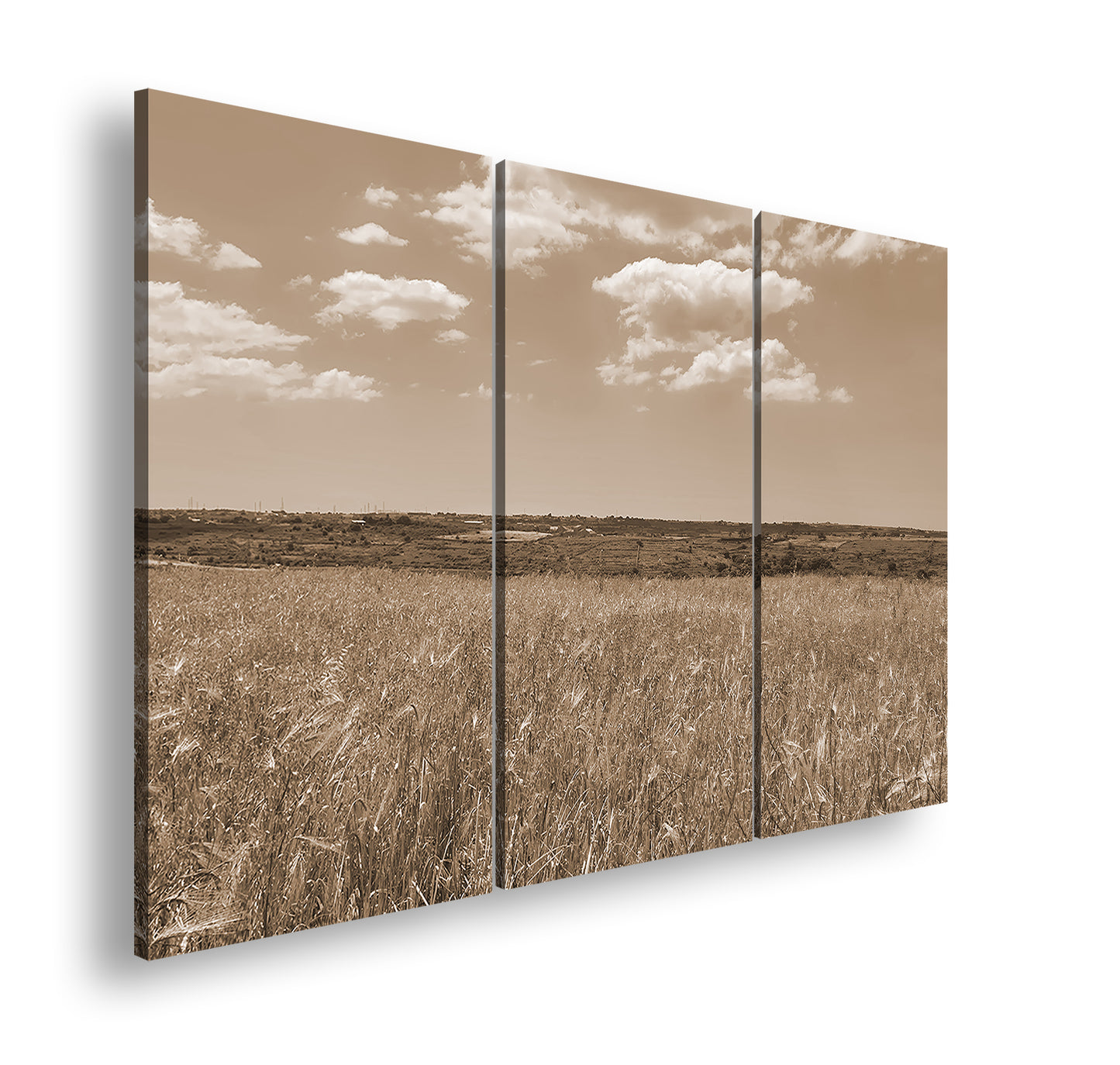 Hauptbild Sepia 3 Teilig