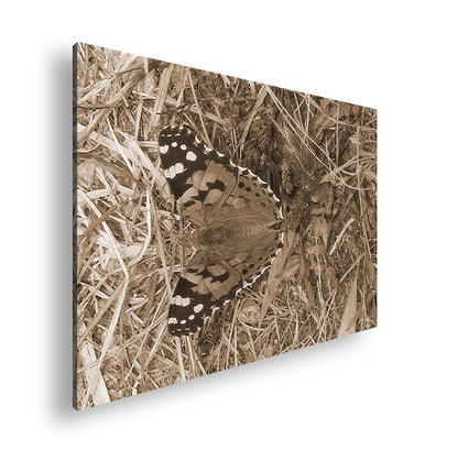 Hauptbild Sepia Standart