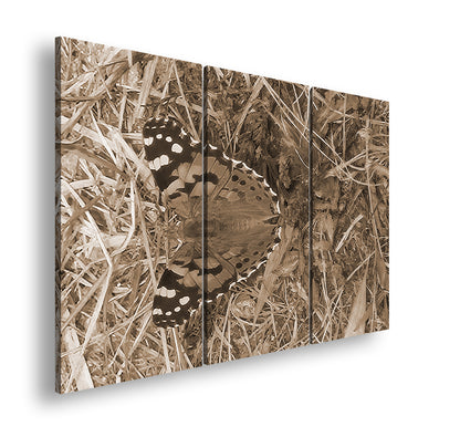 Hauptbild Sepia 3 Teilig