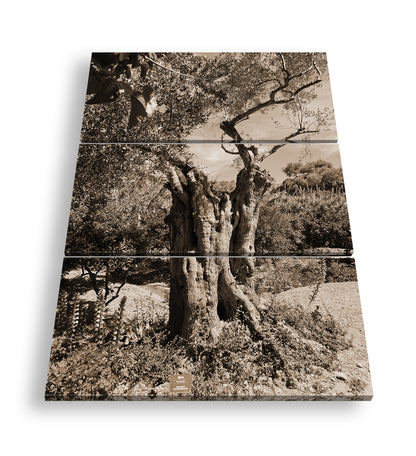 Hauptbild Sepia 3 Teilig