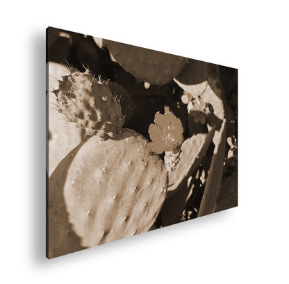 Hauptbild Sepia Standart