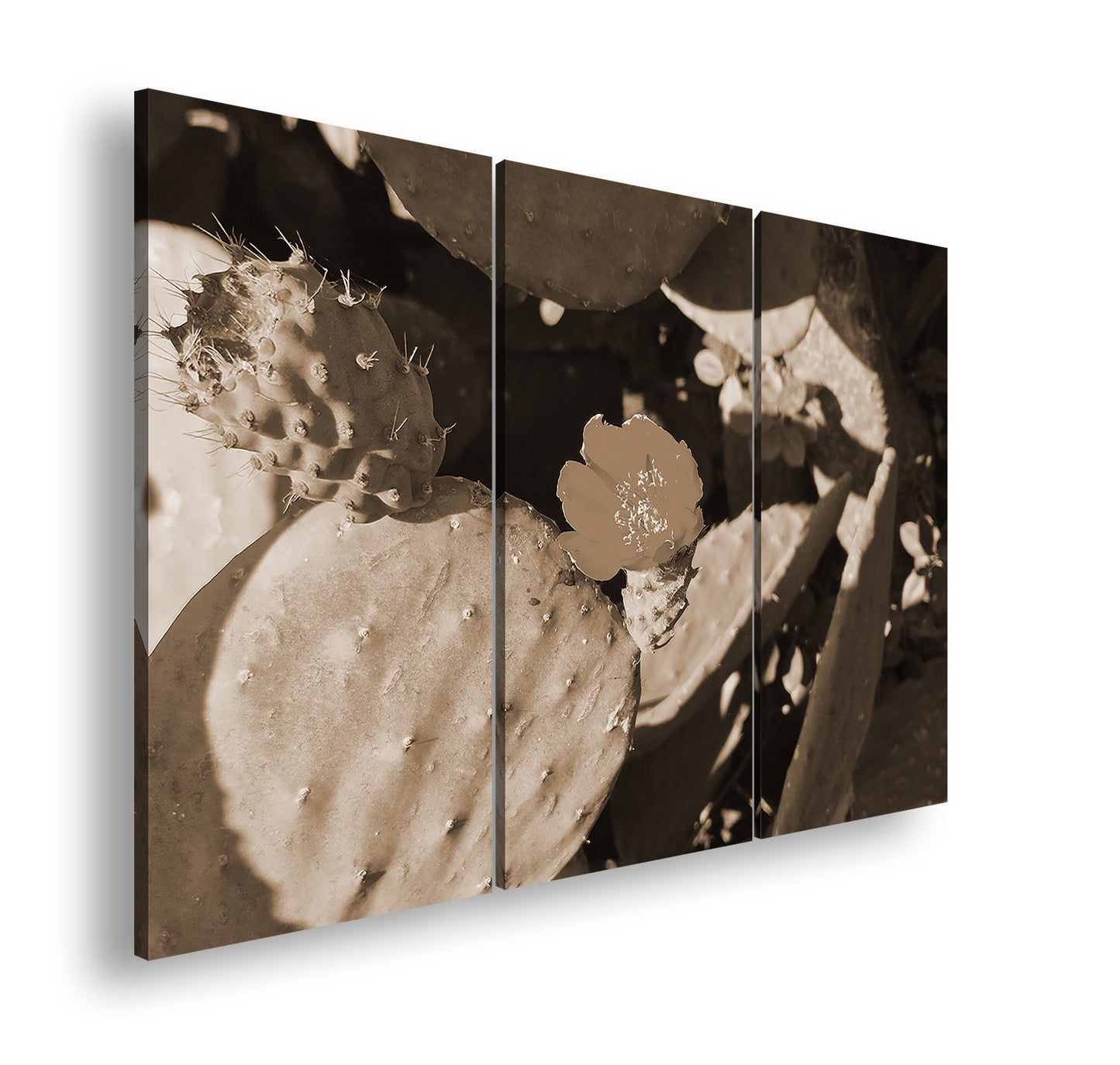 Hauptbild Sepia 3 Teilig