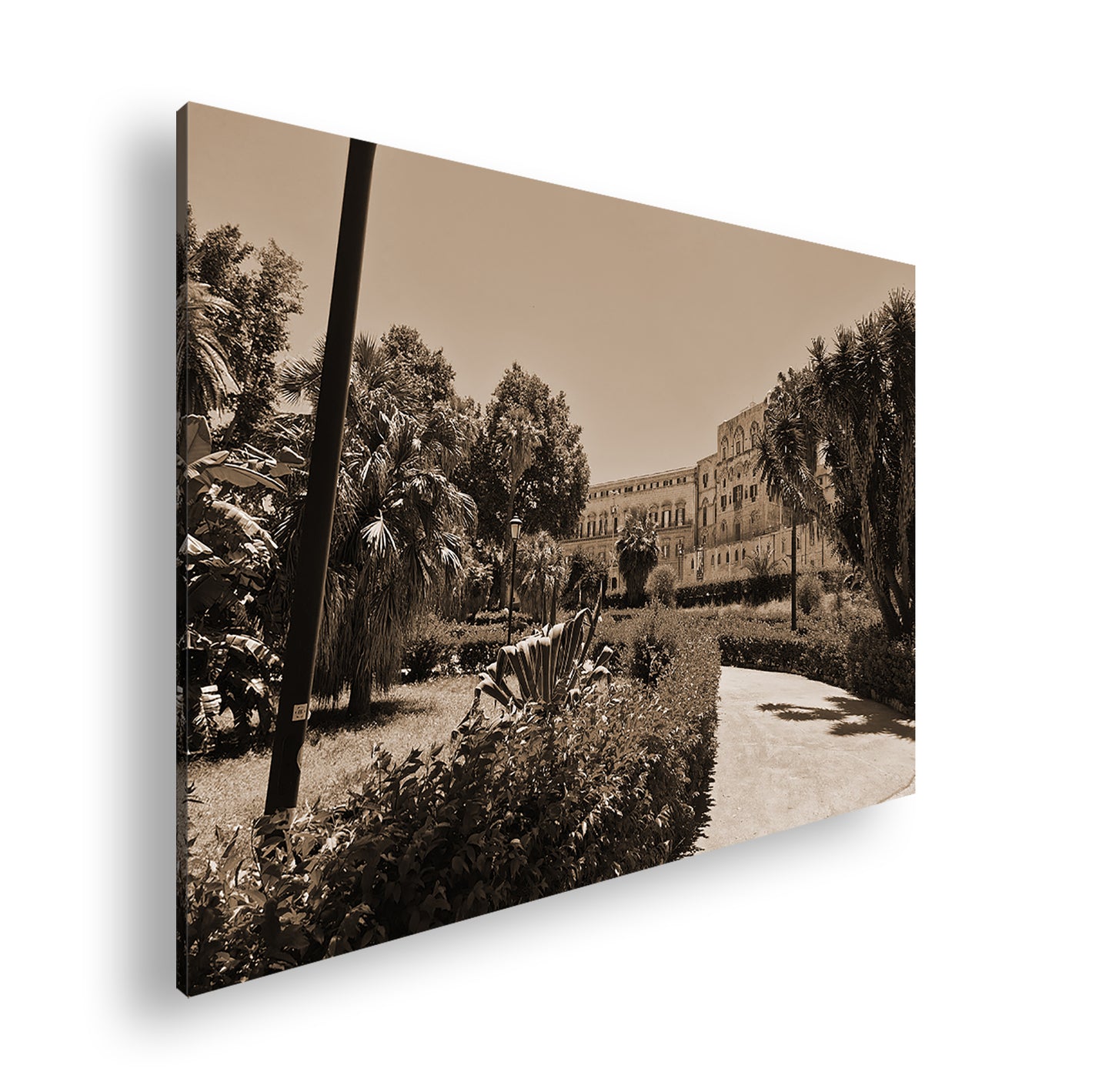 Hauptbild Sepia Standart