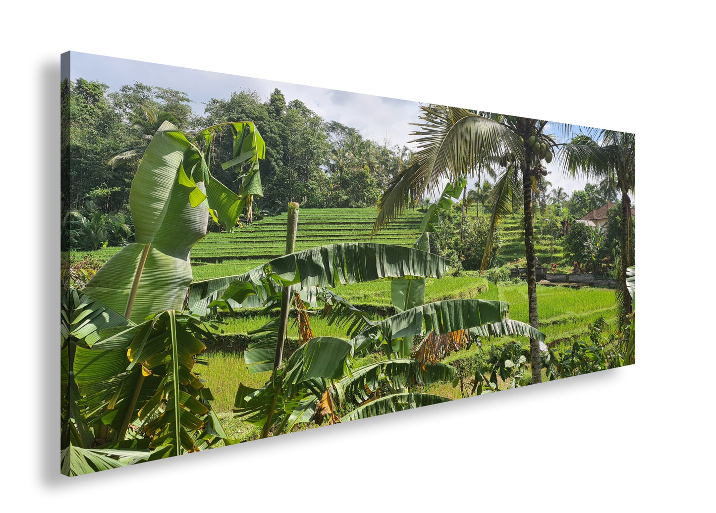 Hauptbild Farbig Panorama