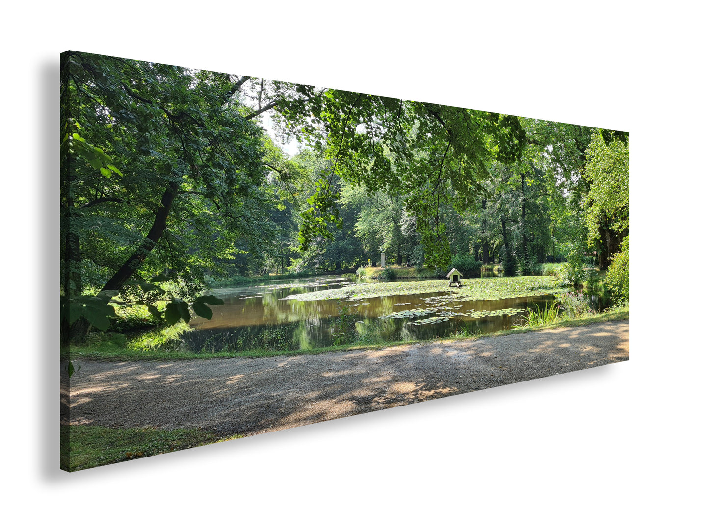 Hauptbild Farbig Panorama