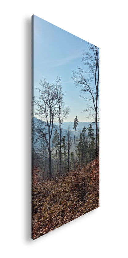 Hauptbild Farbig Panorama