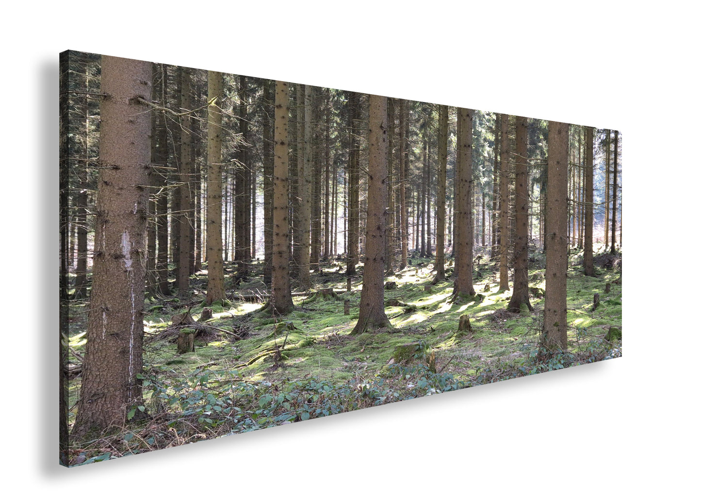 Hauptbild Farbig Panorama