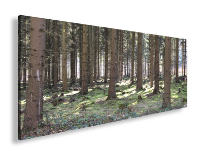 Hauptbild Farbig Panorama