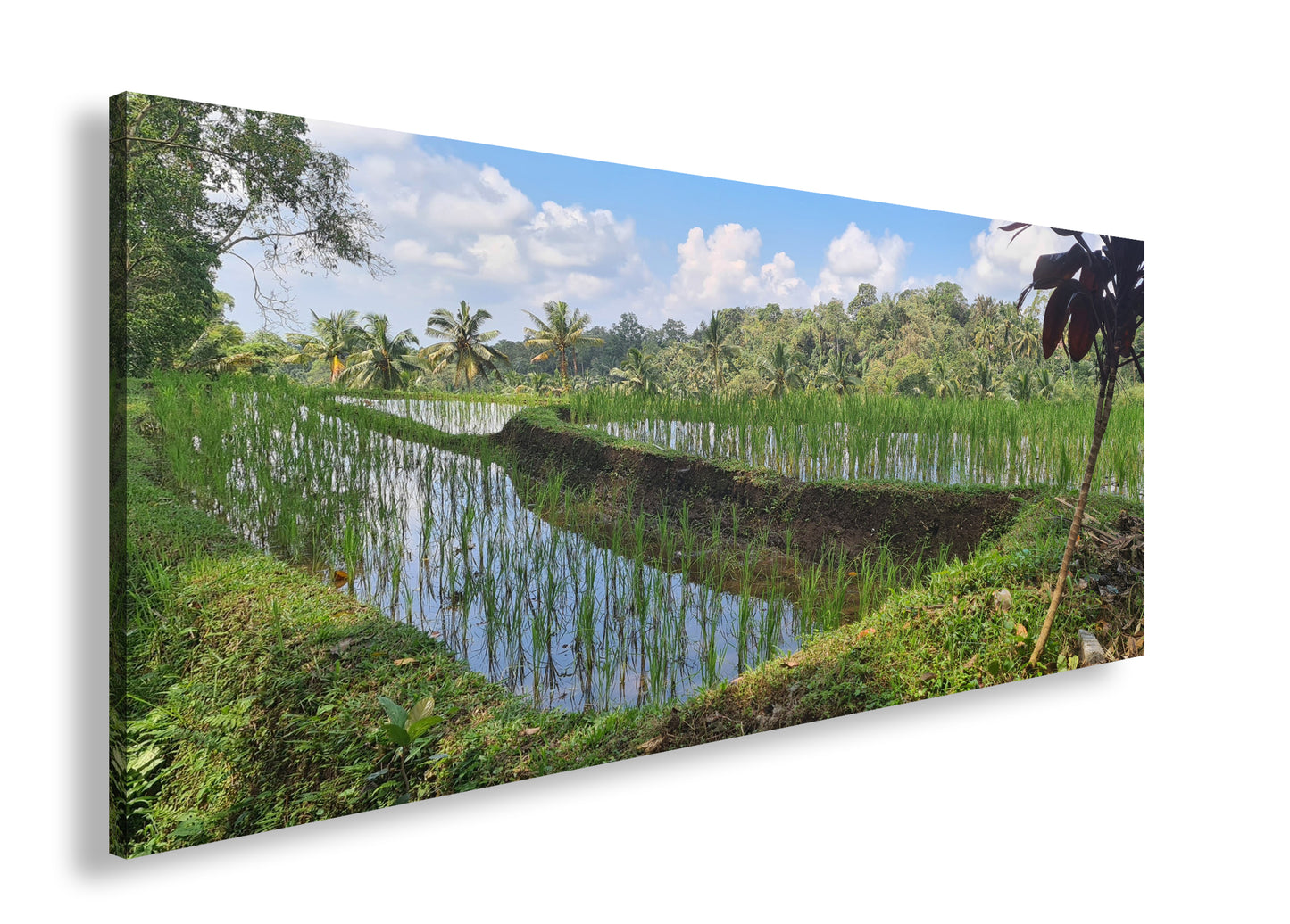 Hauptbild Farbig Panorama