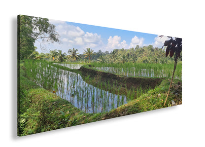 Hauptbild Farbig Panorama