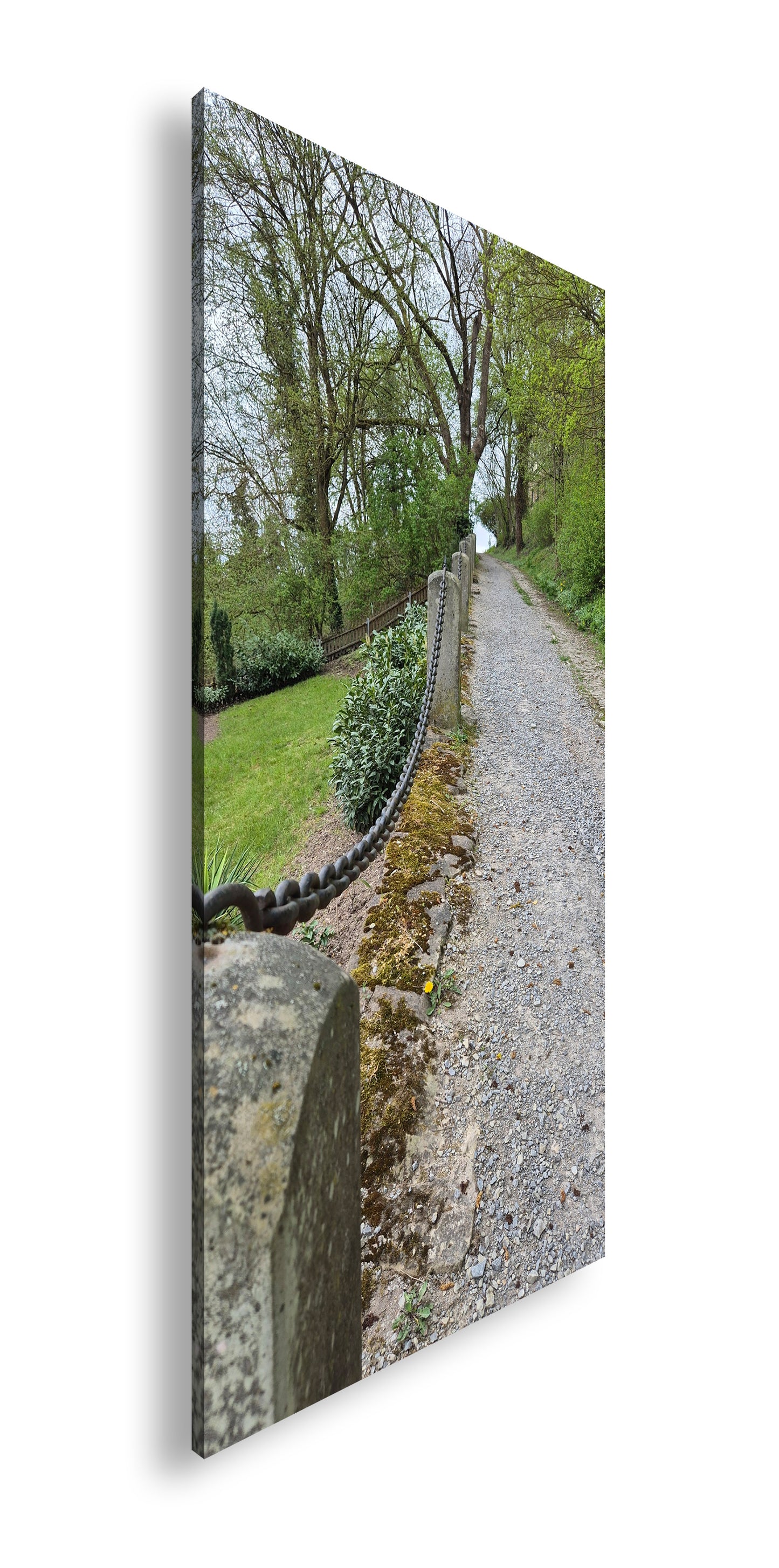 Hauptbild Farbig Panorama