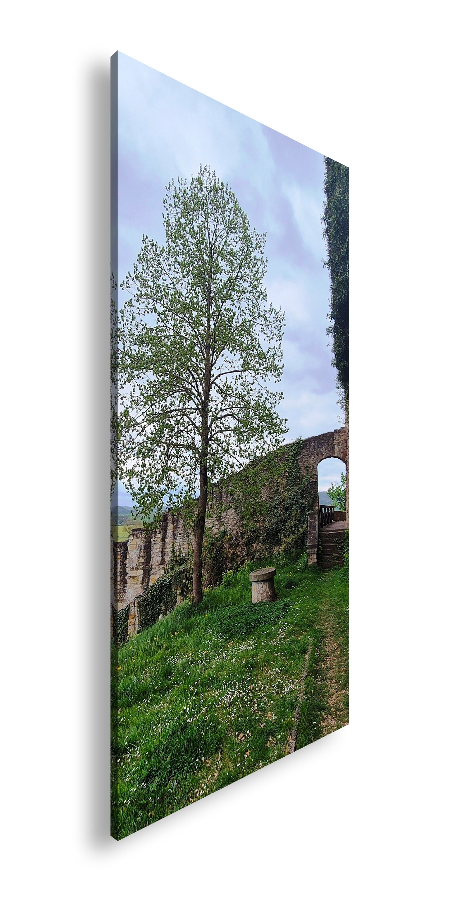 Hauptbild Farbig Panorama