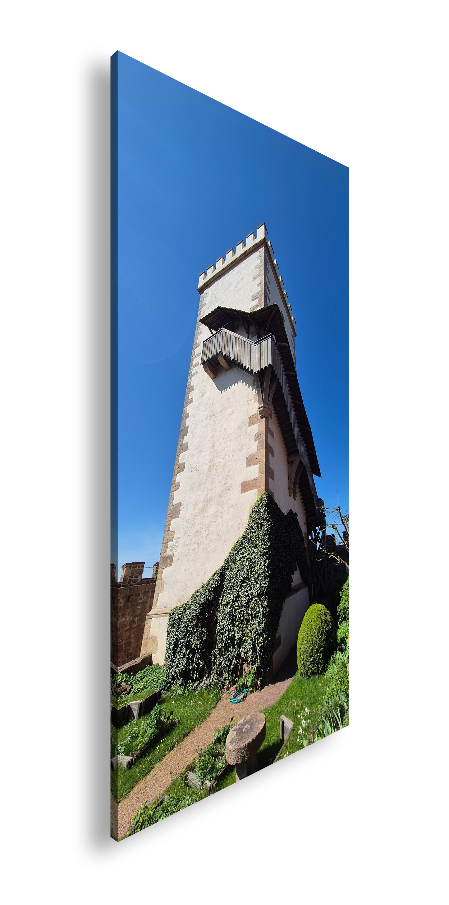 Hauptbild Farbig Panorama