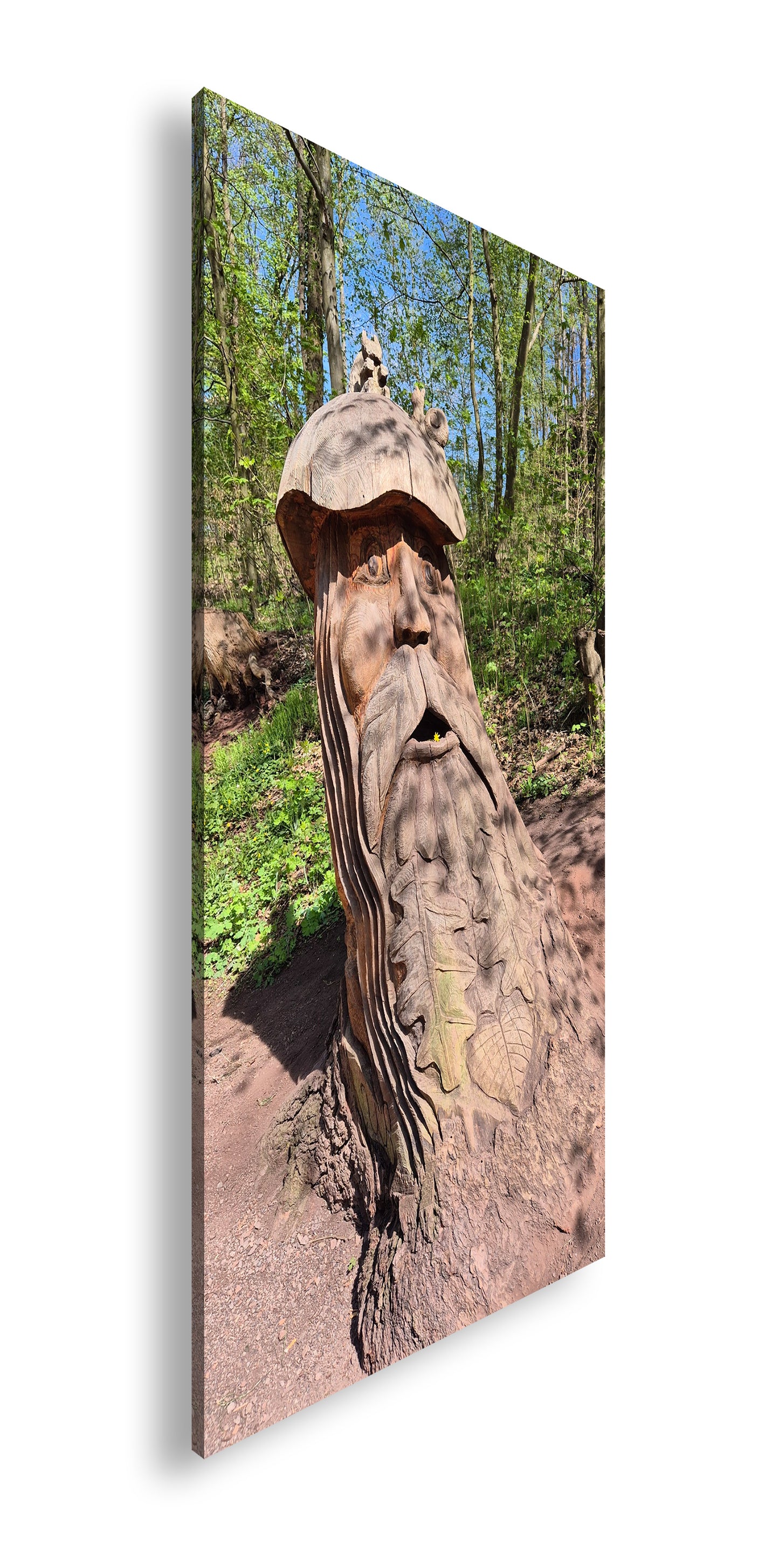 Hauptbild Farbig Panorama